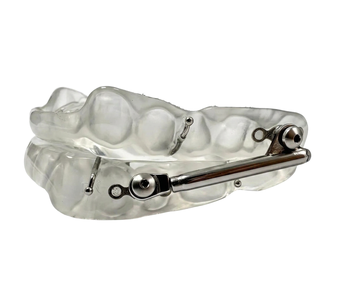 Protrusionsschiene